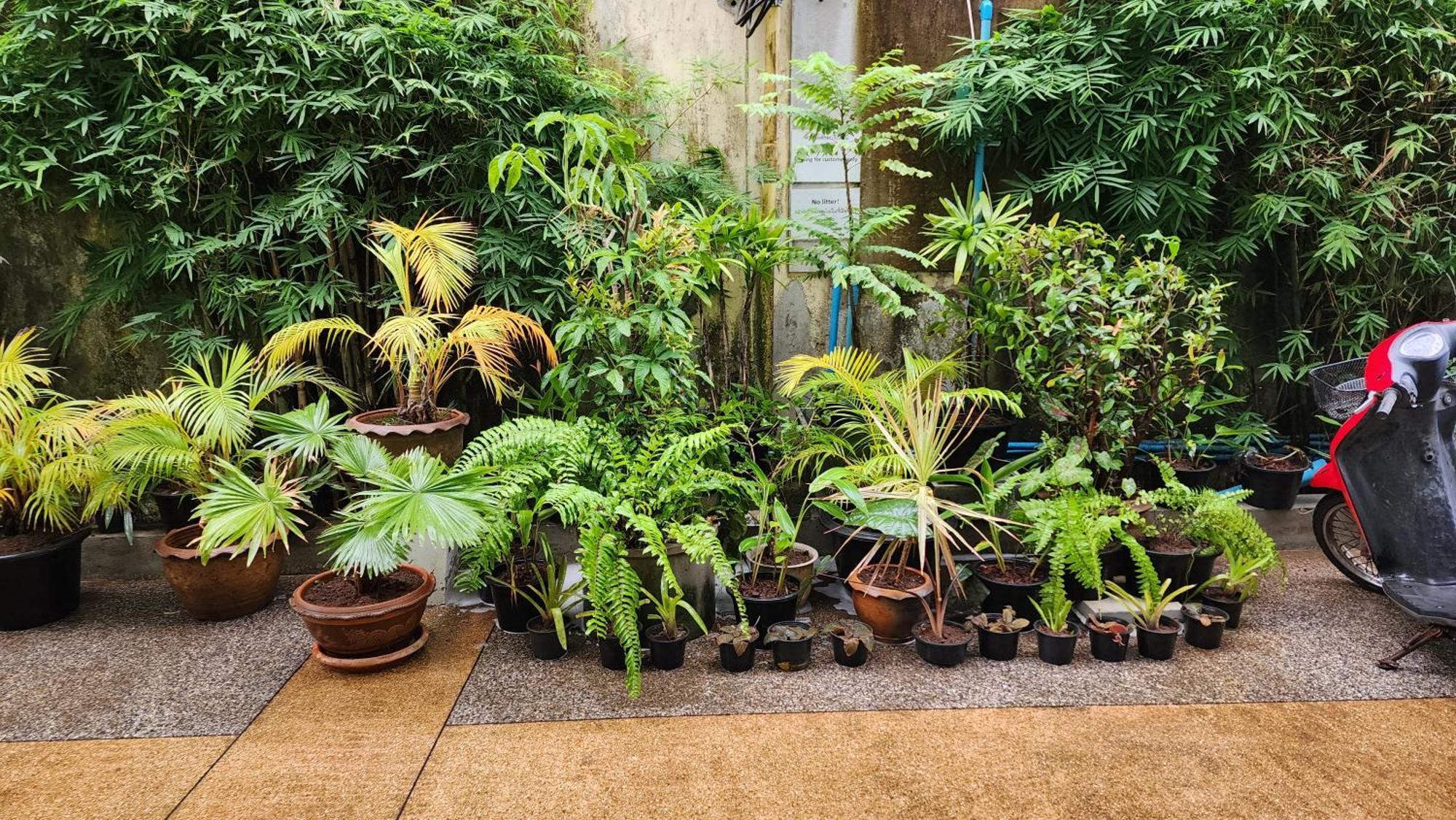 Irest Ao Nang Hostel Exterior photo